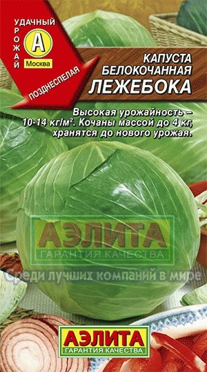 Семена Капуста белокочанная Лежебока (Аэлита)