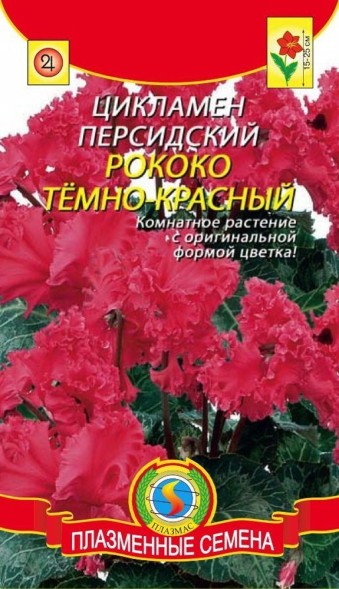 Семена Цикламен персидский Рококо Тёмно-красный ПЛ
