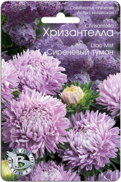 Семена Астра Хризантелла Сиреневый туман (Биотехника)