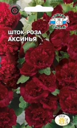 Шток-роза Аксинья (СеДеК)