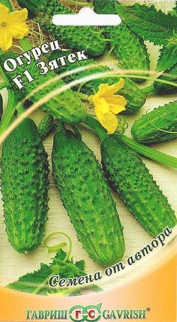 Семена Огурец Зятек F1 от автора Гавриш