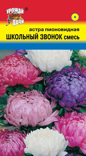 Семена Астра пионовидная Школьный звонок смесь УУД