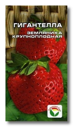 Семена Клубника Гигантелла (Сиб сад)
