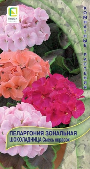 Семена Пеларгония Зональная Шоколадница смесь (Поиск)