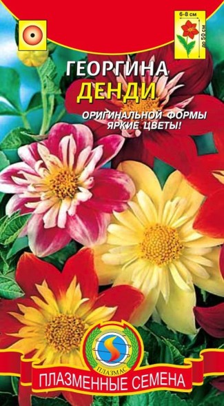 Семена Георгина Денди ПЛ