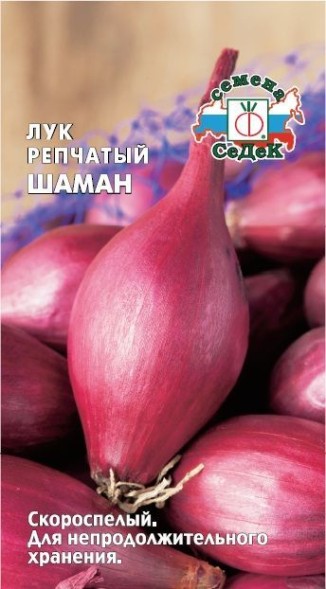 Семена Лук репчатый Шаман (СеДеК)