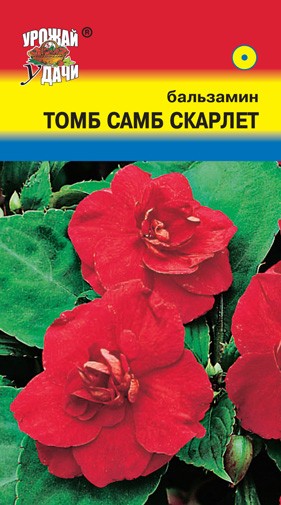 Семена Бальзамин Том Самб Скарлет УУД