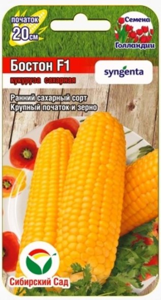 Семена Кукуруза Бостон F1 (Сиб Сад)