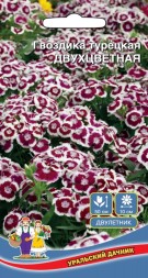 Гвоздика турецкая Двухцветная УД