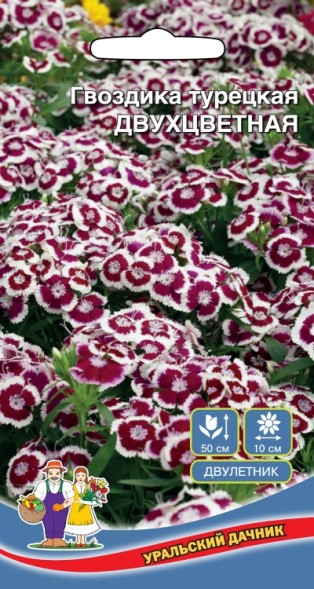 Семена Гвоздика турецкая Двухцветная УД