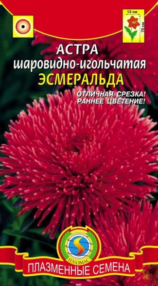 Семена Астра шаровидно-игольчатая Эсмеральда ПЛ