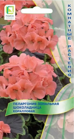 Семена Пеларгония Зональная Шоколадница коралловая (Поиск)