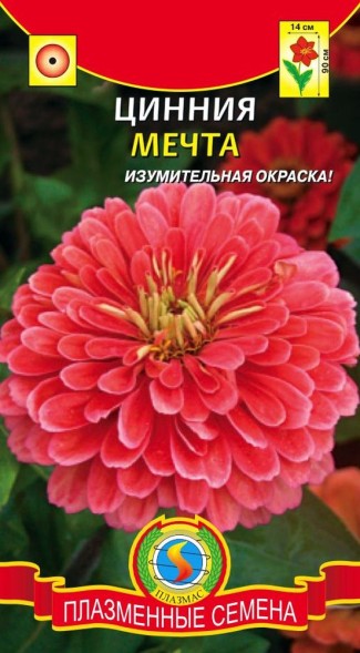 Семена Цинния Мечта ПЛ