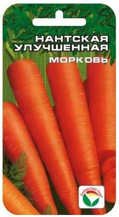 Морковь Нантская улучшенная  (Сиб сад)