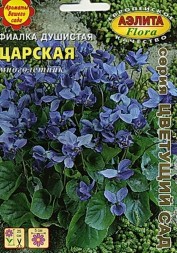 Фиалка Царская душистая (Аэлита-экстра)