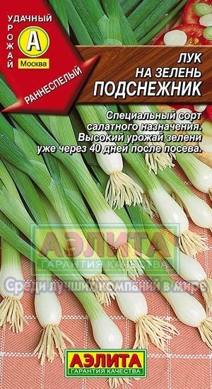 Семена Лук на зелень Подснежник (Аэлита)