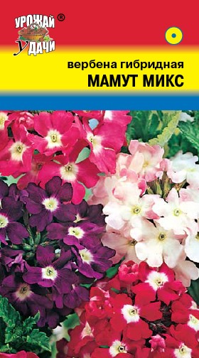 Семена Вербена гибридная Мамут микс УУД