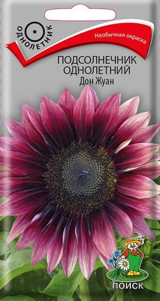 Семена Подсолнечник декоративный Дон Жуан (Поиск)