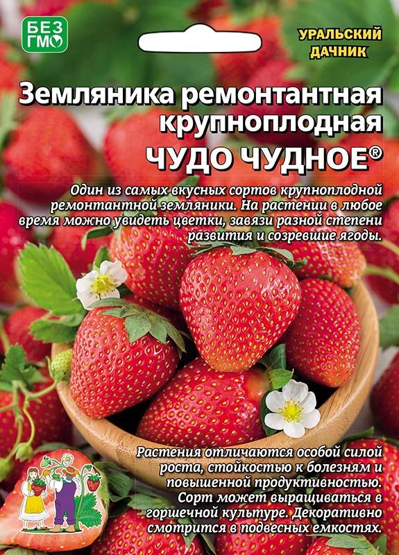 Купить семена Земляника Чудо чудное - ремонтантная УД по цене от 75 руб