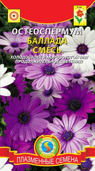 Семена Остеоспермум Баллада смесь ПЛ