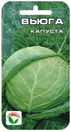 Семена Капуста Вьюга (Сиб сад)
