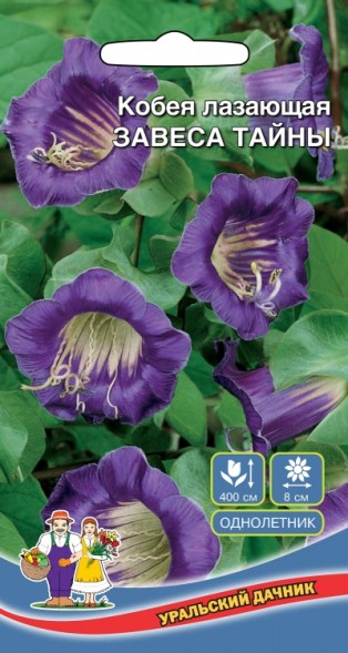 Семена Цветы Кобея лазающая Завеса тайны УД