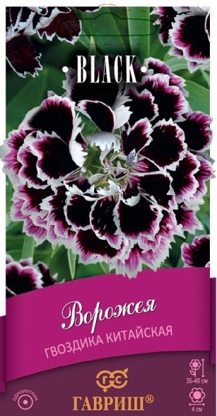 Семена Гвоздика Ворожея китайская (Гавриш)