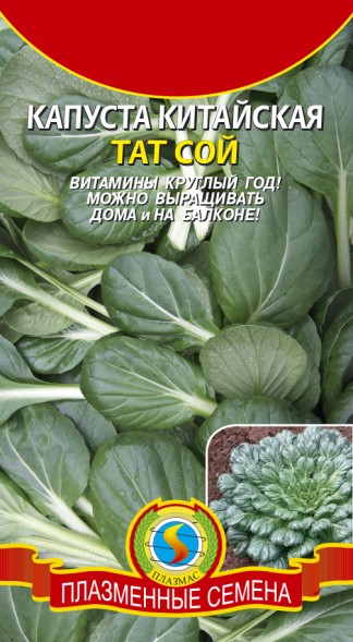 Семена Капуста китайская Тат сой ПЛ