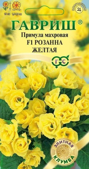 Семена Примула Розанна желтая F1 (Гавриш)