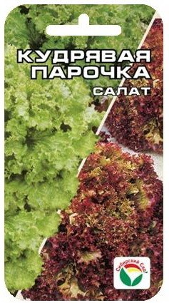 Семена Салат Кудрявая парочка (Сиб сад)