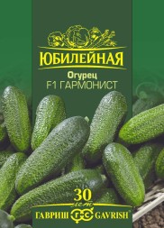 Огурец Гармонист F1 (Гавриш) Юбилейный