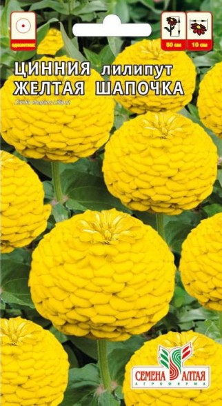 Семена Цинния лилипут Желтая шапочка
