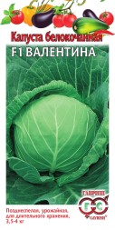 Капуста белокочанная Валентина F1 (Гавриш)