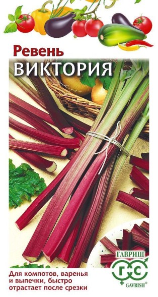 Семена Ревень Виктория (Гавриш)