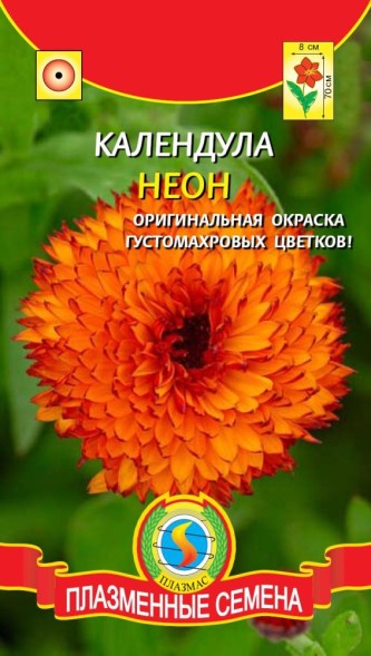 Семена Календула Неон ПЛ