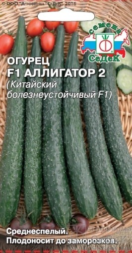 Семена Огурец Аллигатор 2 F1 (СеДеК)