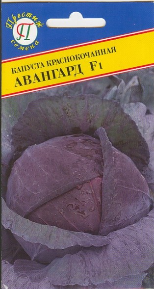 Семена Капуста краснокочанная Авангард F1 (Престиж)
