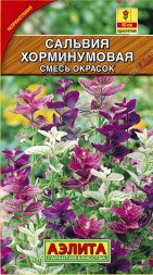 Сальвия Хорминумовая  (Аэлита)