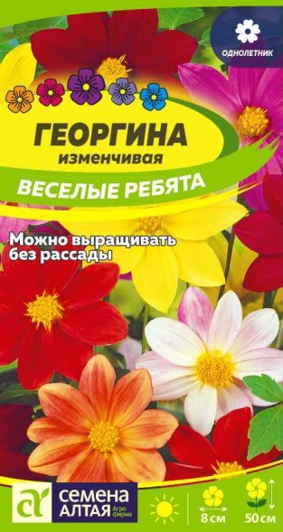 Семена Георгина Веселые Ребята (Семена Алтая)