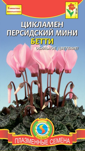 Семена Цикламен персидский мини Бетти ПЛ