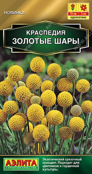 Семена Краспедия Золотые шары (Аэлита)