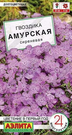Семена Гвоздика Амурская сиреневая (Аэлита)