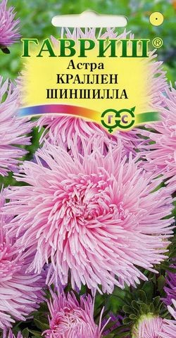 Семена Астра Краллен Шиншилла  (Гавриш)