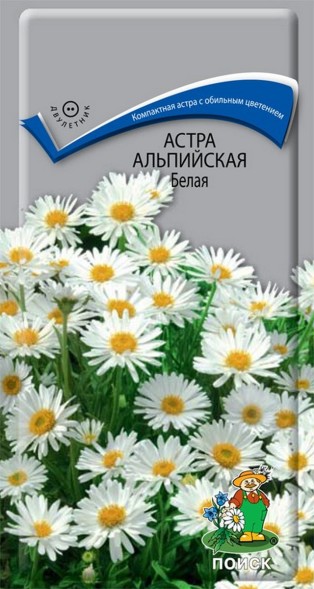 Семена Астра альпийская Белая (Поиск)