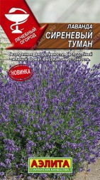 Лаванда Сиреневый туман (Аэлита)