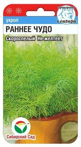 Семена Укроп Раннее чудо (Сиб сад)