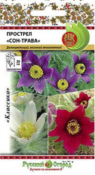 Семена Прострел Сон-трава смесь НК