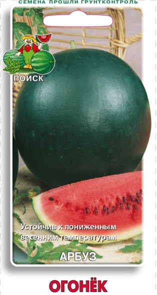 Семена Арбуз Огонек (Поиск)
