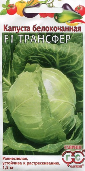 Семена Капуста белокочанная Трансфер F1 (Гавриш)