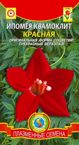 Семена Ипомея квамоклит Красная ПЛ